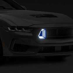 Mustang 2024-2026 grill RTR style gloss back