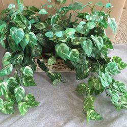 Wicker basket w artificial greenery plant leaves