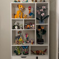 Storage shelf 