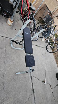 Bench and pull up bar