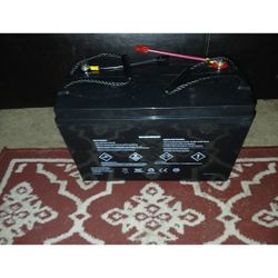 Universal Power Group (UPG) UB121100 sealed lead-acid battery.  12 Volt