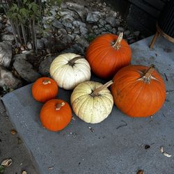 Free Pumpkins 