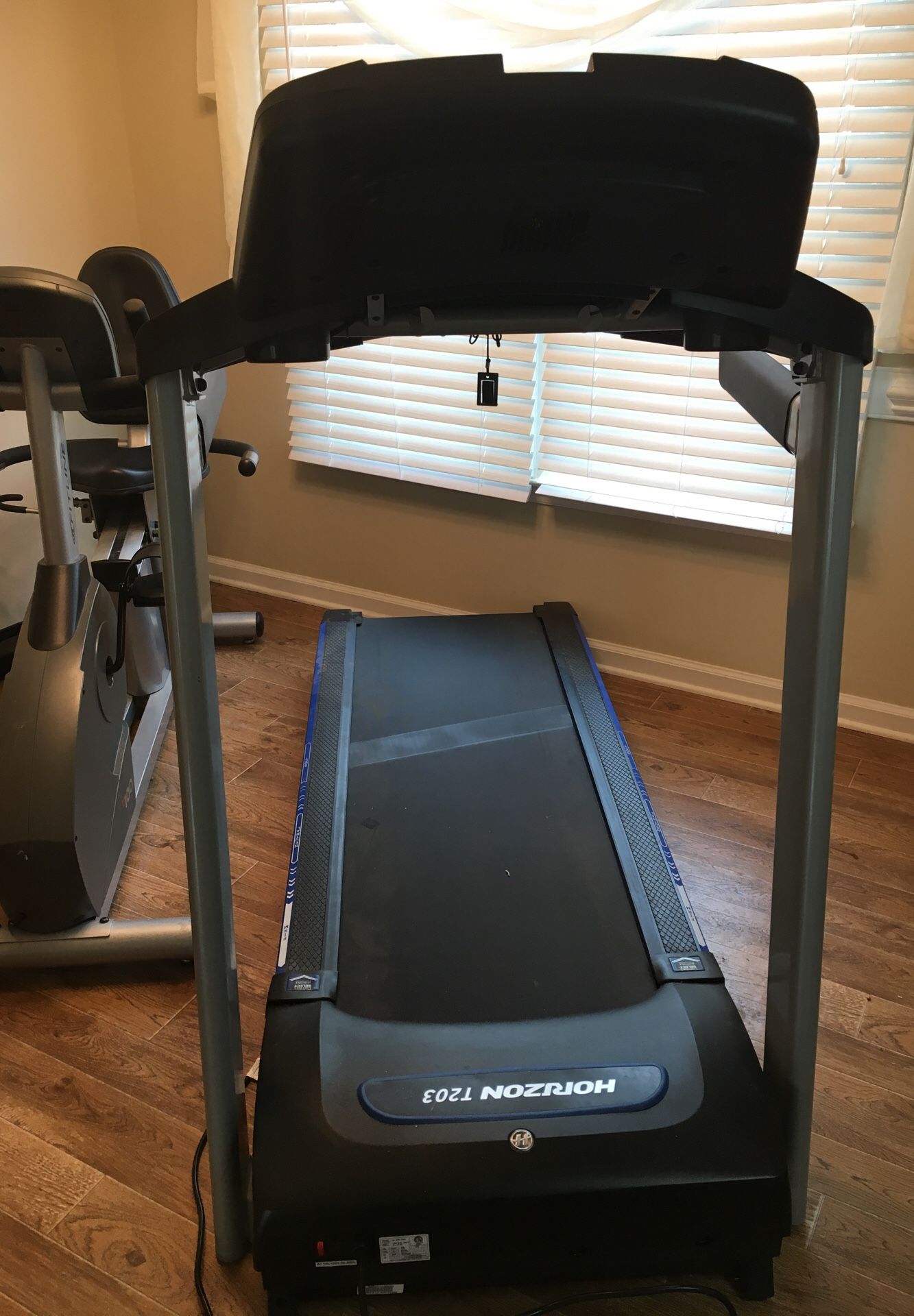 Treadmill Horizon T203