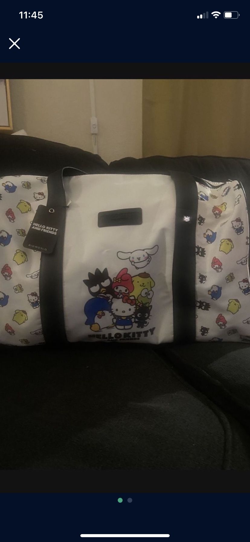 Brand New Duffle Bag Of Hello Kitty And Friends