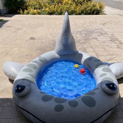 Shark Spray Pool