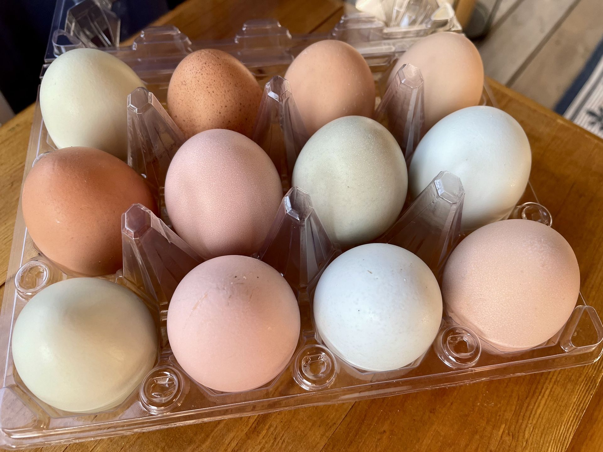 Fresh Eggs, Cage Free, Unwashed Bloom In Tact, Kept Refrigerated