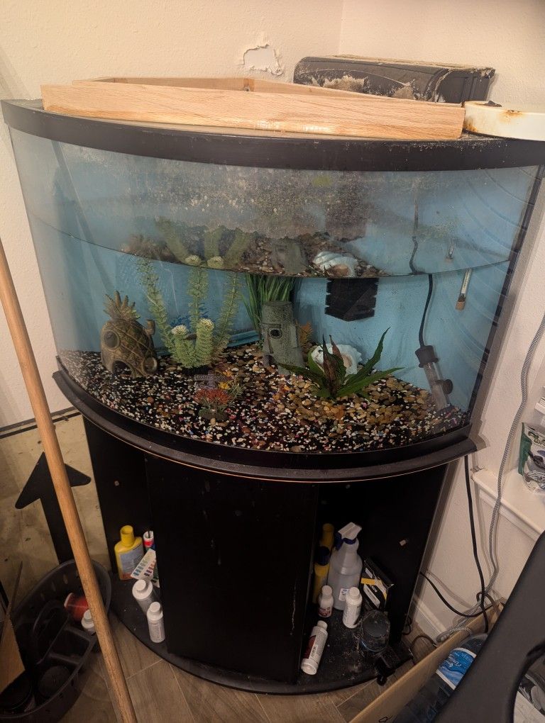 Fish Tank 