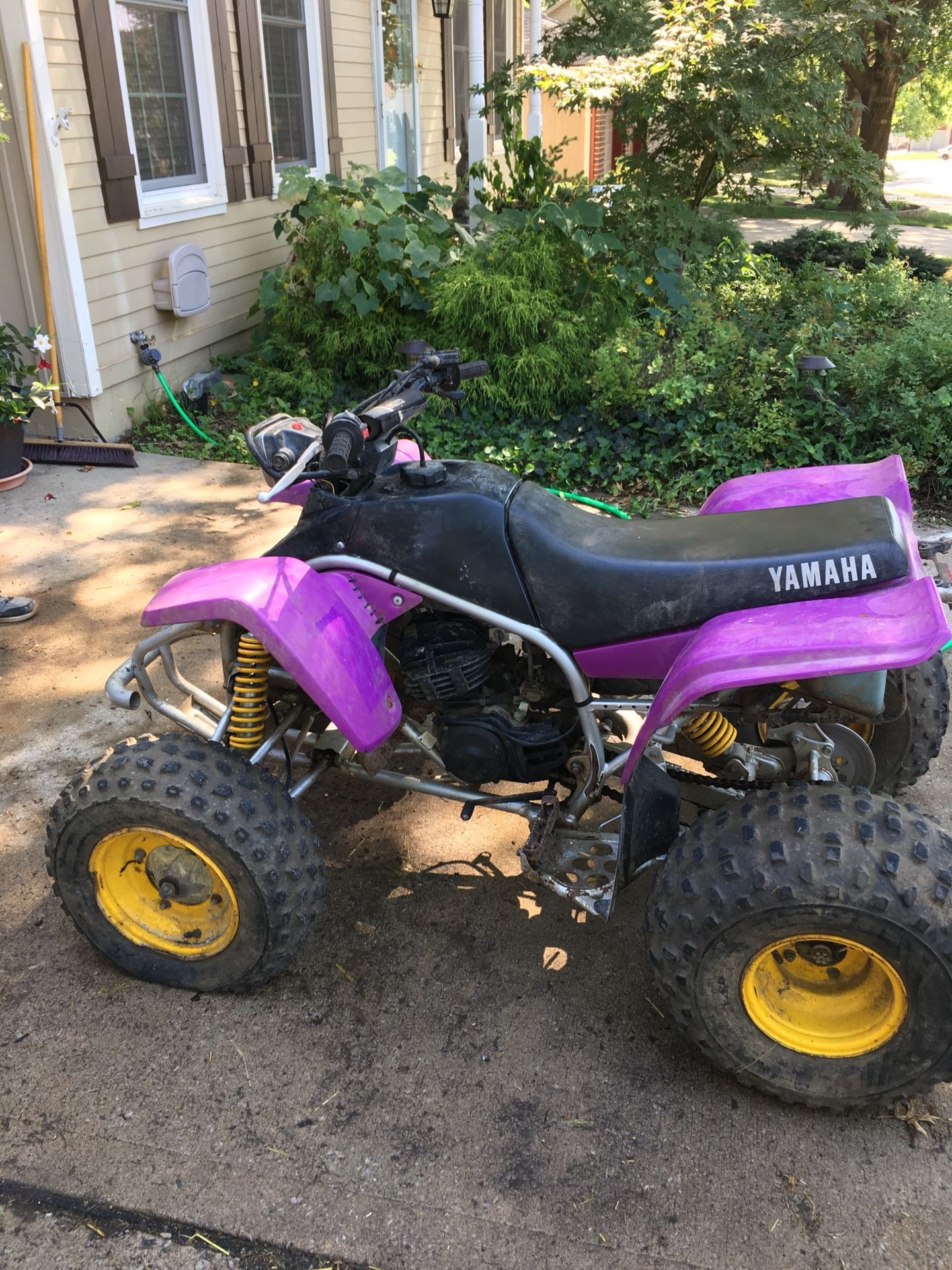 1995 Yamaha Blaster 200cc