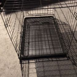 Dog Cage