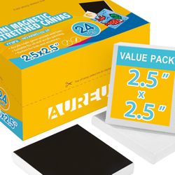 AUREUO Mini Magnetic Stretched Canvas 2.5x2.5 Inch / 24 Pack 