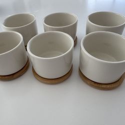 Set Of 6 Succulent Planters NEW