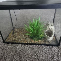 Fish Tank 5 Gallon 
