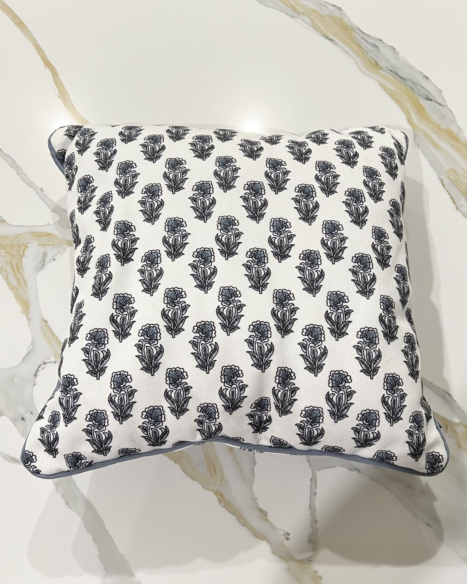 20” x 20” Throw Pillow