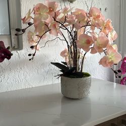 Beautiful Peach Orchid Arrangement