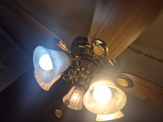 Ceiling Fan