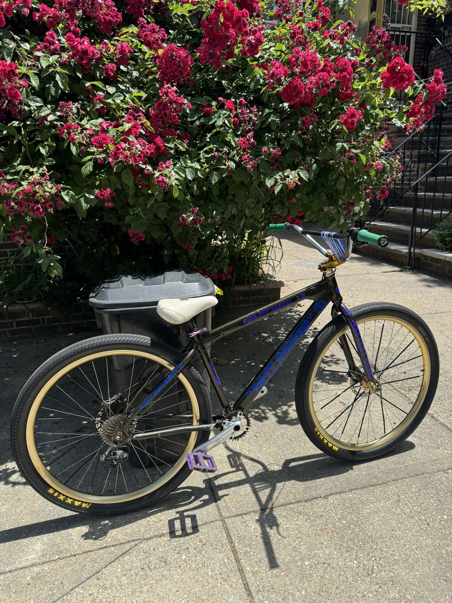 Fast Ripper Black/Gold