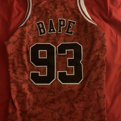 Bape Mitchell & Ness Jersey