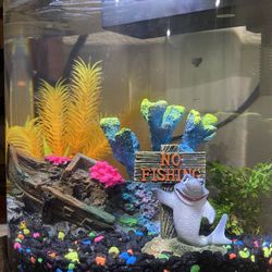Fish Tank And Accessories For Sale