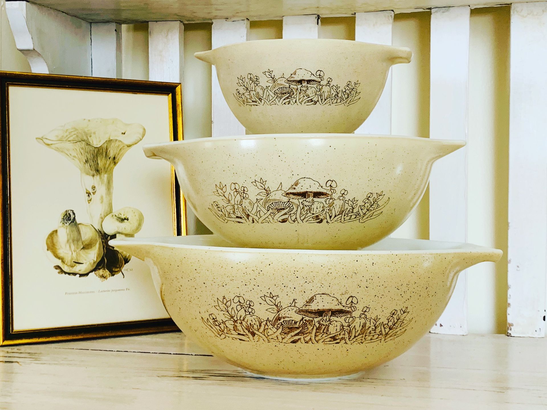 Mid Century Mushroom Pattern Pyrex Set