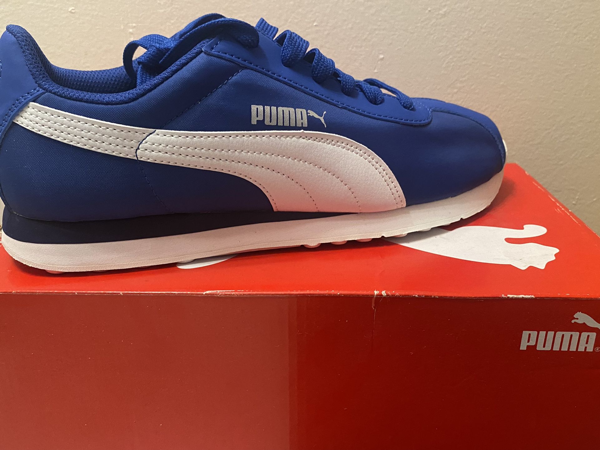 Pumas