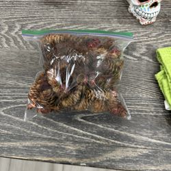 potpourri 