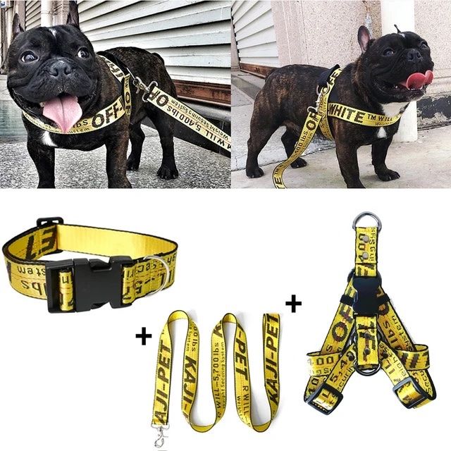 LUXURY HARNESS + COLLAR + LEASH SET. ALL COLORS AND SIZES AVAILABLE.
