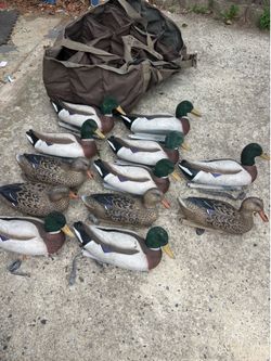 Higdon duck decoys