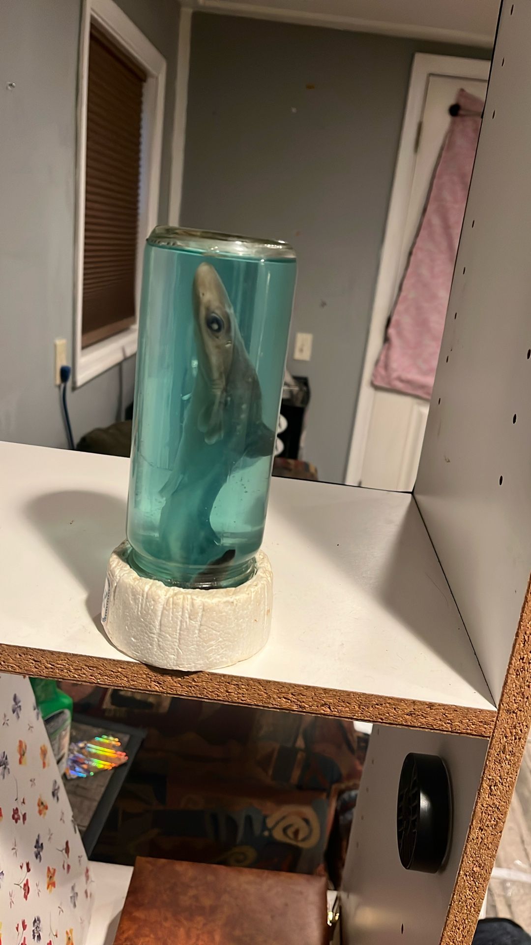 Baby shark in jar