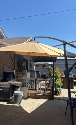 Patio Umbrellapatio