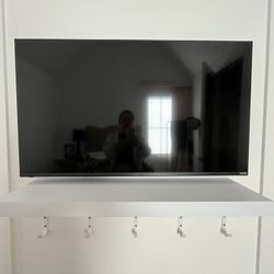 Vizio Flat Screen Tv And Wall Mount 