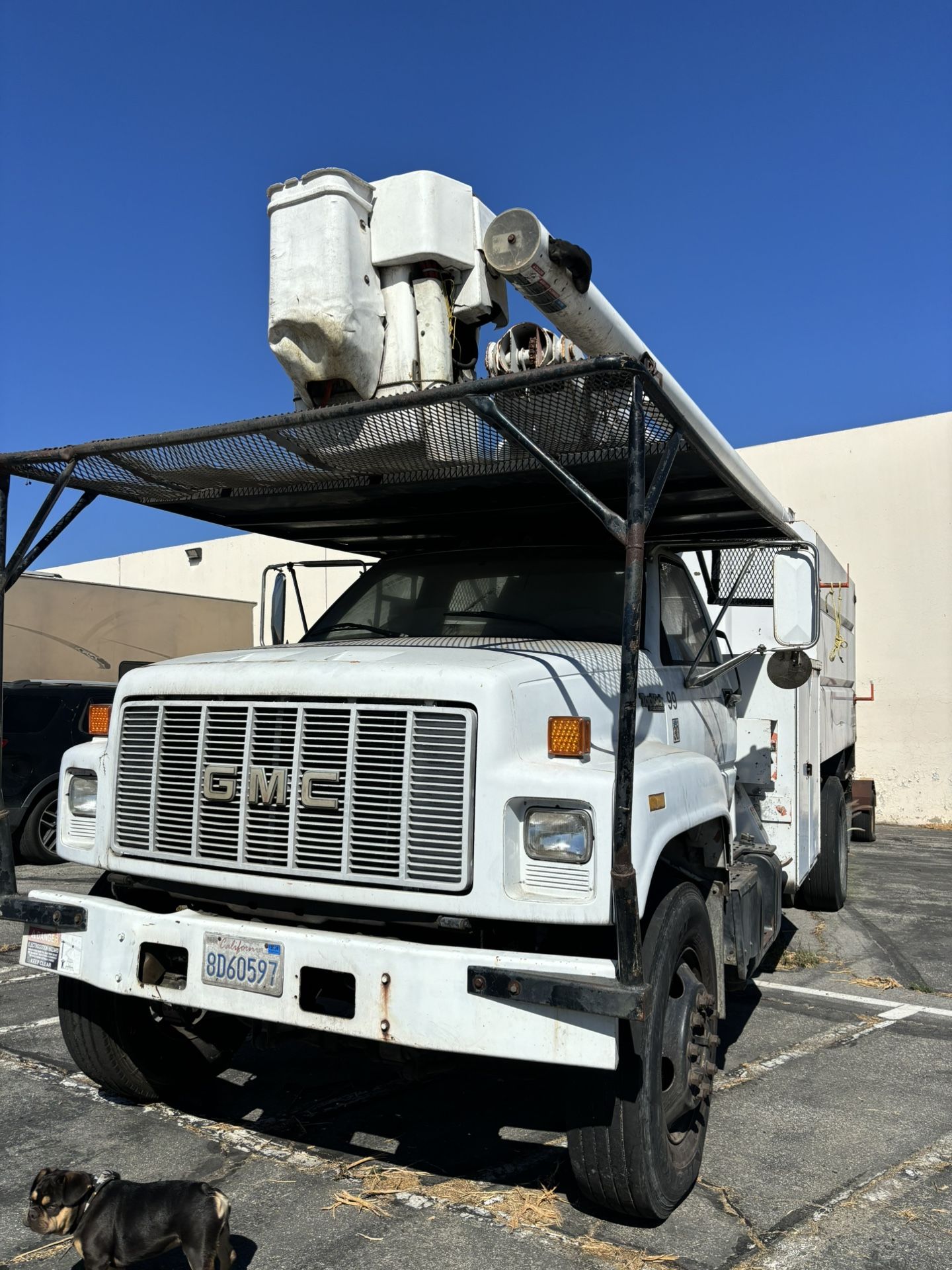 Boom Truck And Tree Cutter