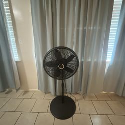 Fan 