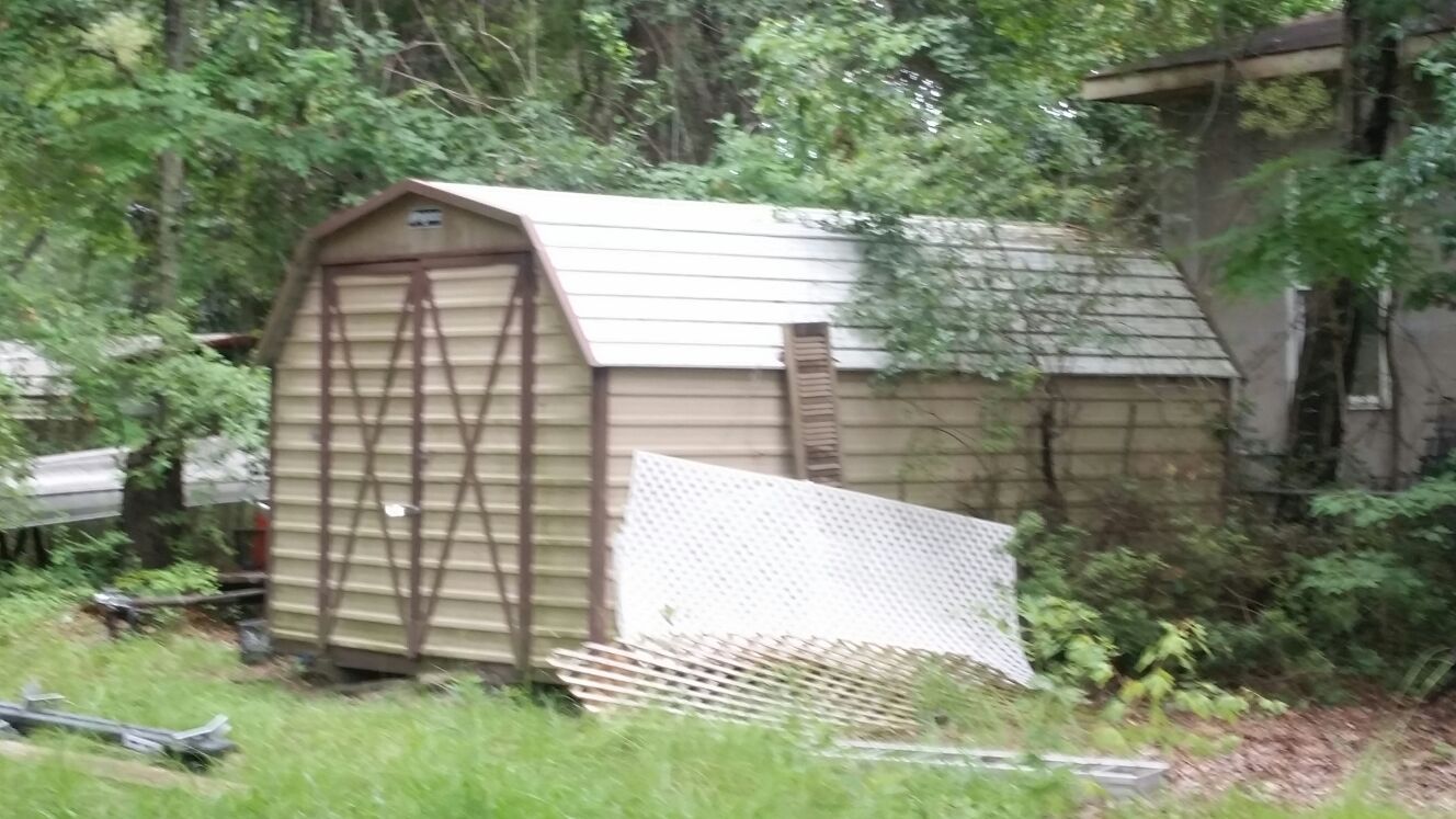 Shed