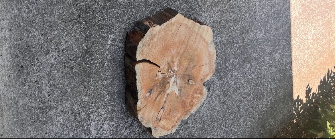 Beautiful Live Edge Board