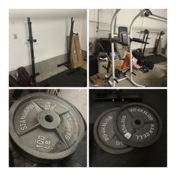 Weight Equipment (Pull-up / Dip bar, 45 And 100 Pound Plates, Squat Rack)