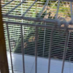 Cage