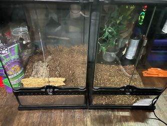 12x12x18 Exo Terra Reptile Enclosure