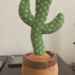 Cactus 🌵 Dance 🕺 