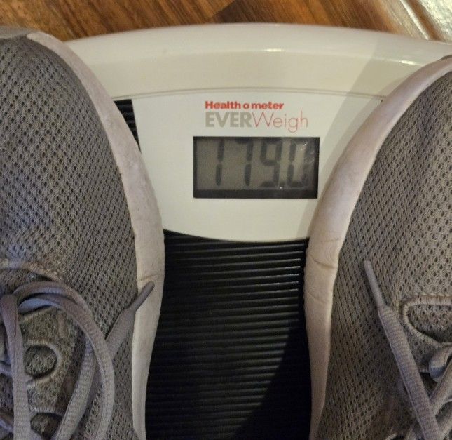 Health O Meter Scale