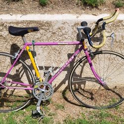 Ironman Centurion Expert Dave Scott Bike