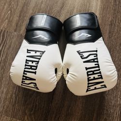 Everlast Elite Boxing Gloves