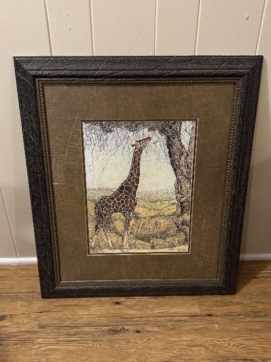 African Safari