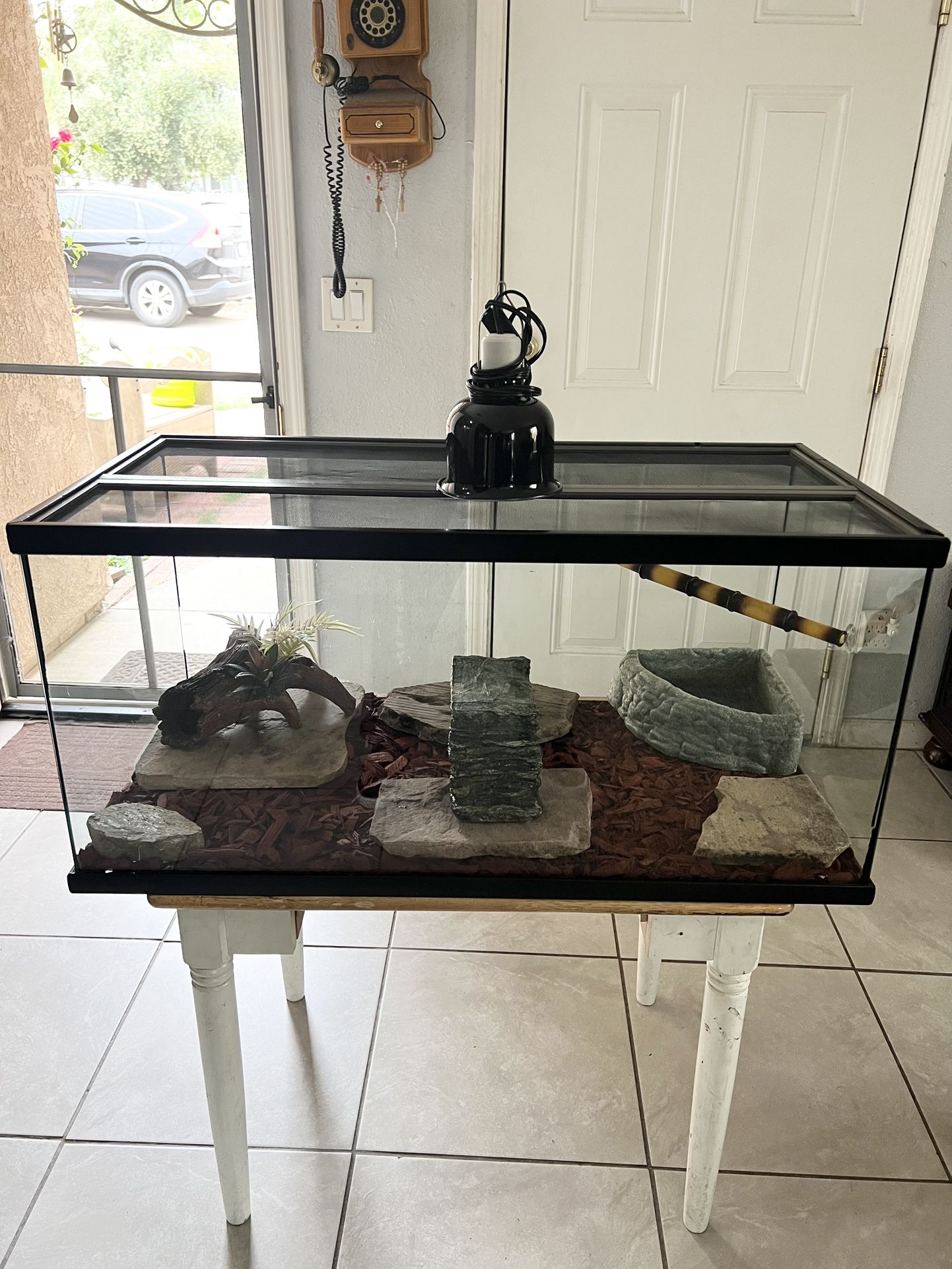 Reptile/Terrarium/Aquarium Tank 50 Gallons With All Decorations And Set Up ( I Have More Tanks Available )*** Great Condition ***  * Today Only $100 *