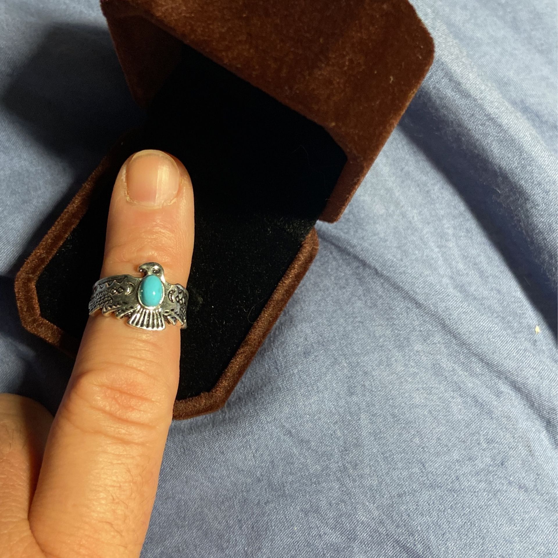 Native American Heritage, Etched, Antique Looking