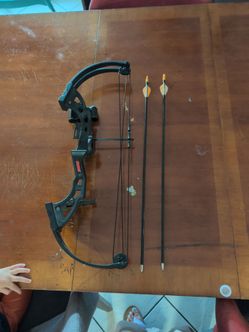 🏹 BearBow and arrow black with 2 arrows