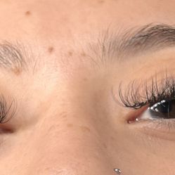 Lashes 