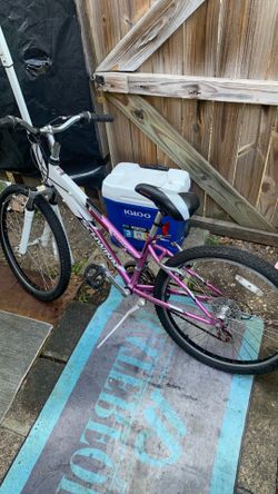 Schwinn kids mountain bike
