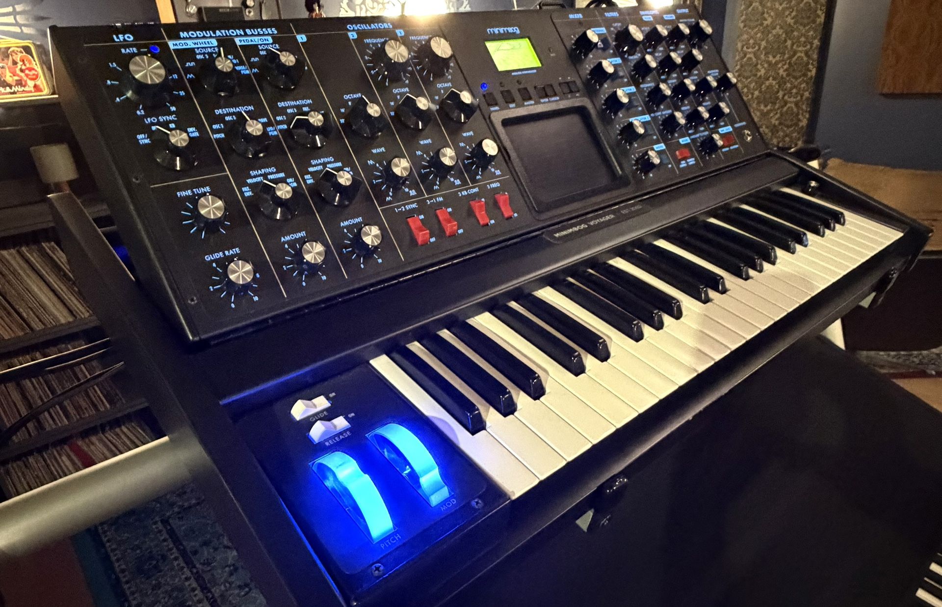 Moog Minimoog Voyager Electric Blue | Very Good–Mint | 3 VCOs, Dual Ladder Filters