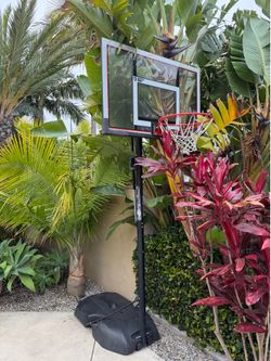 Portable Basketball Hoop