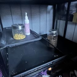 Ferret Cage